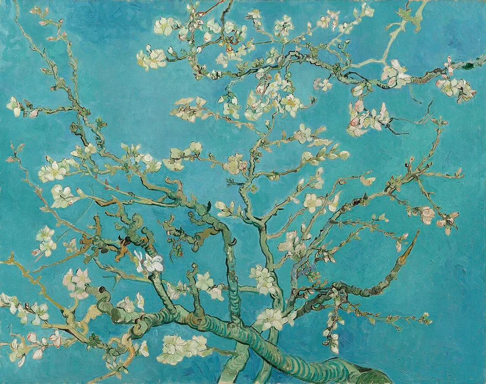 Amandier en fleurs, Vincent van Gogh, 1890