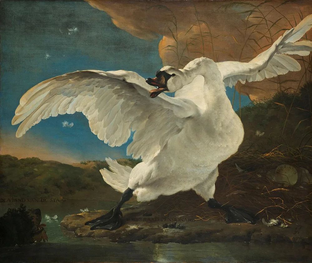 Le Cygne menacé, Jan Asselyn, vers 1650