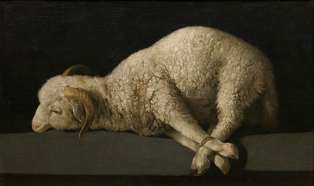 Agnus Dei, Francisco de Zurbarán, 1635-1640